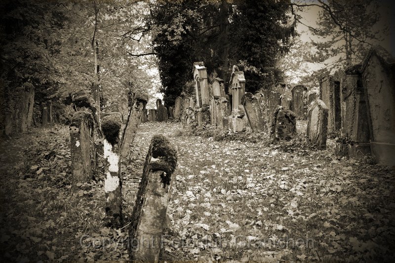 Israelit. Friedhof - 23.jpg